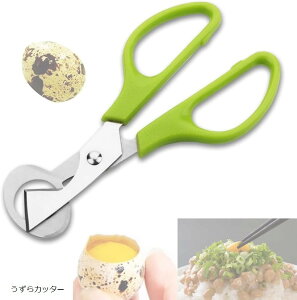 GbO z_[  Jb^[ X^h ŗ ʎq  (Jb^[)