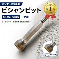 【楽天ランキング1位入賞】ハンマードリル ビシャンビット SDS-plus 12歯 コンクリート 石材 表面処理 た…