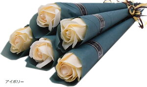 \[vt[ o  v[g Mtg   ސE v`Mtg New^Cv SW1859PF AC{[6{ (AC{[)