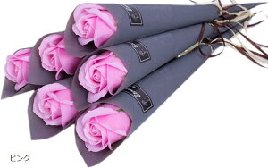 \[vt[ o  v[g Mtg   ސE v`Mtg New^Cv SW1855PF sN6{ (sN)