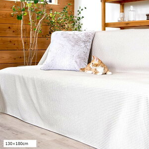 �Y���Ȃ� �ڐG�⊴ �}���`�J�o�[ �\�t�@�[�J�o�[ �����邾�� ���炳�� �z�� ���� �􂦂� �ėp ����~�ߕt �k�� (�O���[�W��, 130x180cm)