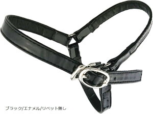 V[YXgbv pvX Eh~(ubN/Gi/xbgȂ, Free)