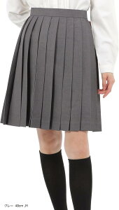 v[cXJ[g n w  ԃq_ XN[jtH[ q w e210 (O[ 48cm, M)