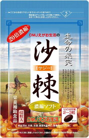 DMJえがお生活 サジー20倍濃縮ソフト (31日分 / 62粒) ビタミンC アミノ酸 鉄分 沙棘 (日本製/栄養補助食品)