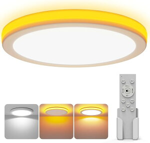 LED�V�[�����O���C�g ������� �V��Ɩ���� �Ԑڌ���铔�t�� 32W 3800lm �������F �ɔ��^ �d�C �u���� Ceiling Light �Q��/���r���O/�L�b�`���K�p (a01.�ԐڏƖ� �������F 6��, 6��)