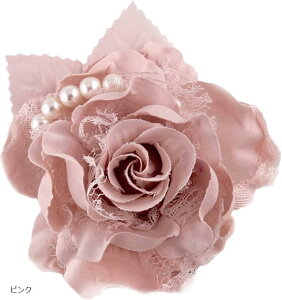 RT[W w Ǝ  tH[}  X[c i sN (sN)