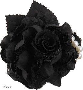 RT[W w Ǝ  tH[}  X[c i ubN (ubN)