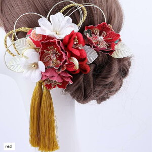 yyVLO1ʓ܁zfBX  l Ǝ  pP[Xt(red, NC[)