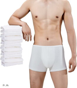 10 jp ĝ 100  {NT[pc s gїpV[c (, XL)