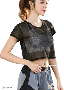 bV T Vc  K _X tBbglX EFA n N[ lbN fB[X gbvX g[jO EGA (ubN, M)