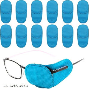 yyVLO1ʓ܁z ዾ Klp Ύ Jo[ ACpb`  Жڊ STCY u[12 (u[12, STCY)