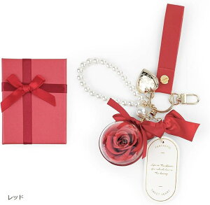 vU[uht[ L[z_[ ͂Ȃ  蕨 v[g ޏ lC a LO  j ̓ o^Cf[ zCgf[ ЂȍՂ w  Mtg (bh)