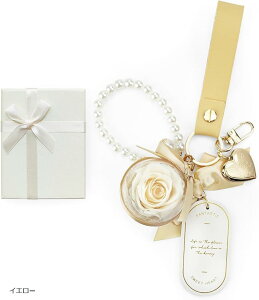 vU[uht[ L[z_[ ͂Ȃ  蕨 v[g ޏ lC a LO  j ̓ o^Cf[ zCgf[ ЂȍՂ w  Mtg (CG[)