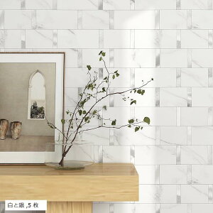 yyVLO1ʓ܁zMOFITLb` nS^C ^CV[ h ʏ ǃ^C 3d Ƒ嗝Β ^CV[g UCN plϔM Ƌ 5 (Ƌ, 5 )