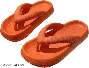 T_ gOT_ _炩 ₷ EVA r[`T_ V[T_  fB[X measurement_25_point_5_centimeters(IW, 25.5 cm)