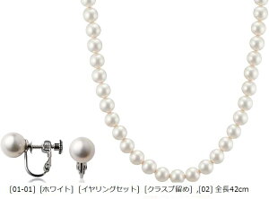 i`Ȏ ̋Z lH^̍i p[lbNX  Y { Lp[ VRLj NXv 2_ Zbg (m01-01n mzCgn mCOZbgn mNXv