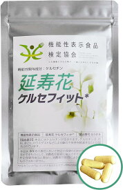 ケルセチン サプリメント 機能性表示食品 医師推薦 花粉 ハウスダスト 延寿花 ケルセフィット 120粒30日分 消費者庁受理品 臨床試験済