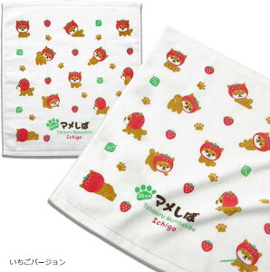 } nh^I ɂ₳ 炩 100 { 킢 o[W