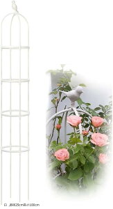 ~jIxXN gX R\   K[fjOpx Aa25cm180cm (, a25cm180cm)