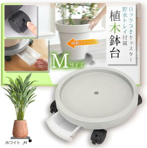 LX^[t Aؔ  t[X^h M zCg (zCg, M)