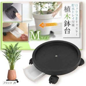 yyVLO1ʓ܁zLX^[t Aؔ  t[X^h M ubN (ubN, M)