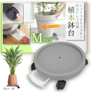 LX^[t Aؔ  t[X^h M O[ (O[, M)