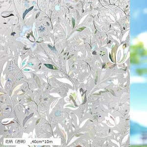 KXډBtB ډBV[g tB œ\邾 ptB 40cm10m(ԕij, 40cmx10m)