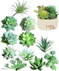 lHAZbg  ~j lHϗtA T{e Ȃ S (SpbN)