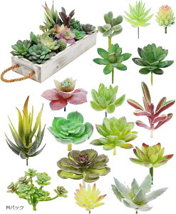 lHAZbg  ~j lHϗtA T{e Ȃ M (MpbN)