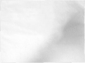 【20％OFFクーポン】ピローシート 400mmx500mm 薄手 100枚セット 使い捨て 不織布 マッサージ エステサロン用 業務用 ホワイト( ホワイト-穴無し40x50cm, 100枚)[2406SS]