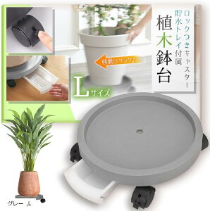 LX^[t Aؔ  t[X^h L O[ (O[, L)