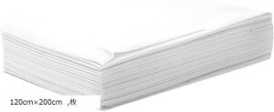 hV[g sDz ĝ 100x200cm 20 y[p[V[c pi Ɩp zCg 200cmx120cm 10(zCg hh , 120cmx200cm 10)