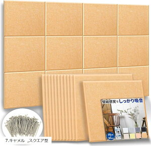 12Zbg ht@Xg{ z zpl XNGA^ x200kg/m3 c30cmx30cm 9mm stł񂽂 DIY (7.L, XNGA^)