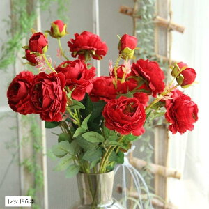  o 6{Zbg KN [Y ԑ CeA   u[P VNt[ v[g a (bh6{)