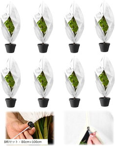 AیJo[ h h~ sDz Wbp[t ~  ۉV[g hlbg 8ZbgE80cmx100cm (8ZbgE80cmx100cm)