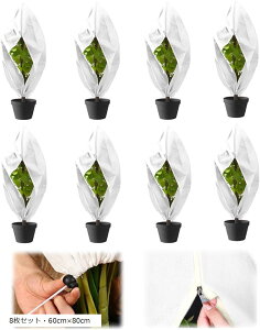 AیJo[ h h~ sDz Wbp[t ~  ۉV[g hlbg 8ZbgE60cmx80cm (8ZbgE60cmx80cm)