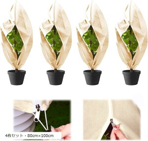 h h~ AیJo[ sDz Wbp[t ~   ۉV[g hlbg 4ZbgE80cmx100cm (4ZbgE80cmx100cm)