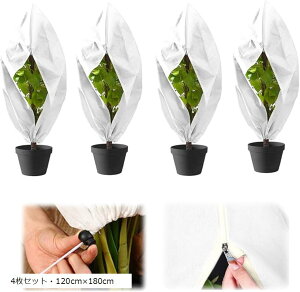 AیJo[ h h~ sDz Wbp[t ~  ۉV[g hlbg 4ZbgE120cmx180cm (4ZbgE120cmx180cm)