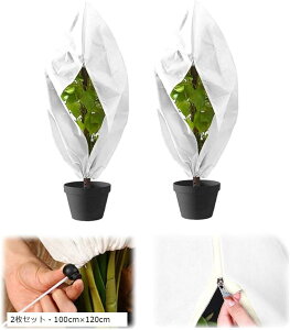 AیJo[ h h~ sDz Wbp[t ~  ۉV[g hlbg 2ZbgE100cmx120cm (2ZbgE100cmx120cm)