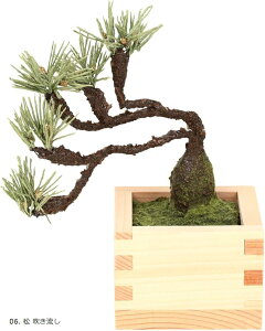 荗aƂЂ̂gp ~ bonsai lHϗtA  tFCNO[ a ap CeA 12cm 06.  
