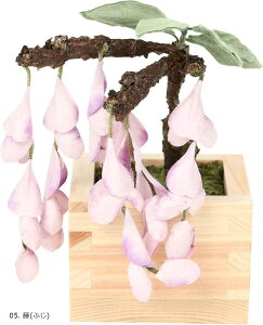 荗aƂЂ̂gp ~ bonsai lHϗtA  tFCNO[ a ap CeA 12cm 05.  ӂ