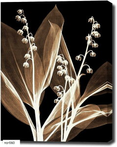 A[gpl A rO W30cm H40cm A[gt[ G LoX zt EH[A[g |bvA[g _A[g Ǌ| CeA  (nor060)