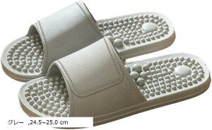  Xbp ~ T_ 􂦂 jp R hL K x_ V[ ʋC [ jZbNX C gC c{  (O[, 24.5`25.0 cm)