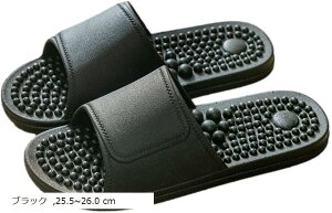  Xbp ~ T_ 􂦂 jp R hL K x_ V[ ʋC [ jZbNX C gC c{  (ubN, 25.5`26.0 cm)