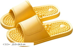  Xbp ~ T_ 􂦂 jp R hL K x_ V[ ʋC [ jZbNX C gC c{  (CG[, 23.5`24.0 cm)