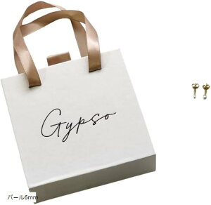 Mtg{bNXt T[WJsAX AM[Ή 316L Vvł肰ȂfUC i ItBX tH[}ȃV[(S[h)