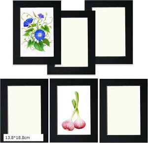 Wp tHgt[ 6Zbg  z Ǌ| y A[gt[ CeA Vv ʐ^  یtB Ǌ|pSV[gt (13.8x18.8cm)