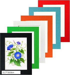 A[gt[ 6Zbg Wp tHgt[ Ǌ| y  Jt CeA Vv ʐ^ z  یtB Ǌ|pSV[gt(11.7x16.8cm)