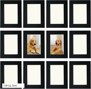 Wp tHgt[ 12Zbg  z Ǌ| y A[gt[ CeA Vv ʐ^  یtB Ǌ|pSV[gt (7.9x11.7cm)