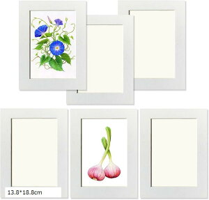 Wp tHgt[ 6Zbg A[gt[ Ǌ|  y  CeA Vv ʐ^  z یtB Ǌ|pSV[gt (13.8x18.8cm)